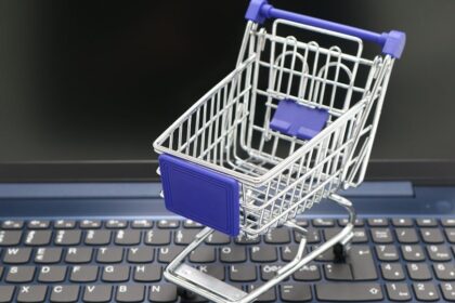 Memanfaatkan Platform E-Commerce: Tingkatkan Daya Saing UMKM