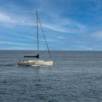 Pola Angka Togel: Strategi Menang di Tengah Ketidakpastian